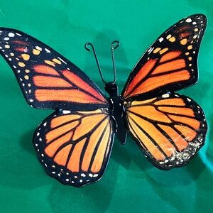 Orange and Black Butterfly Wall Art